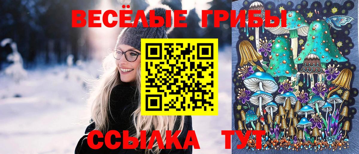 Еманжелинск  Псилоцибиновые грибы Cubensis  Вход с VPN  наркошоп  Псилоцибиновые грибы GOLDEN TEACHER 